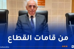 تعيين نور الدين داودي على رأس مجمع سوناطراك