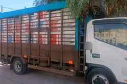 الوادي: أمن الرقيبة يحجز أزيد من 79 ألف علبة سجائر مهربة