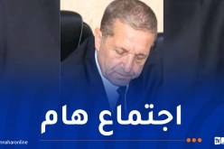 السكن المسار المهني والتربصات.. ملفات هامة تجمع عمارنة مع أساتذة ولاية الجلفة