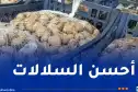 تصدير أول شحنة من الحلزون نحو إيطاليا