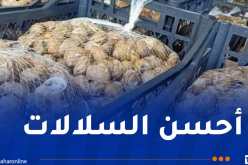 تصدير أول شحنة من الحلزون نحو إيطاليا