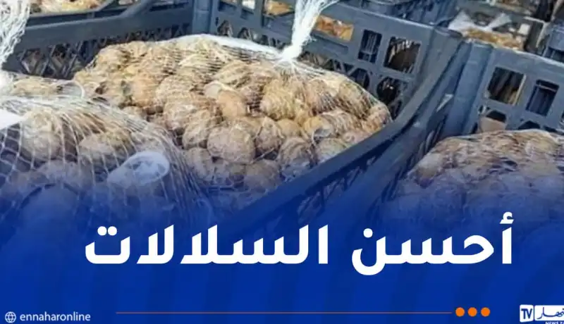 تصدير أول شحنة من الحلزون نحو إيطاليا