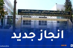 تفوقت على مصر والسعودية.. الجزائر في المركز الأول عربيا في عدد المؤلّفين