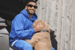 المحكمة البريطانية تفرض عقوبة مالية على بن رحمة بسبب كلبين