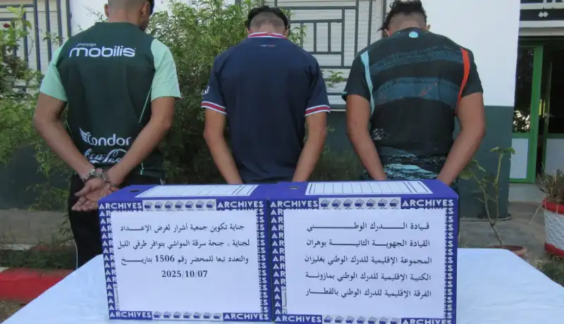 غليزان.. الإطاحة بشبكة مختصة في سرقة المواشي