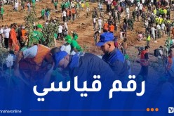 مبادرة “خضراء بإذن الله”.. غرس أكثر من 1.3 مليون شجرة