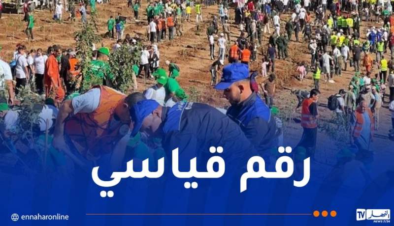 مبادرة “خضراء بإذن الله”.. غرس أكثر من 1.3 مليون شجرة