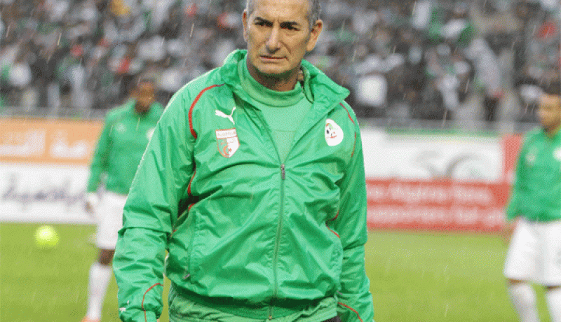 قريشي: “المنتخب الوطني بحاجة للاستقرار والنتائج هي من تحكم على بيتكوفيتش”