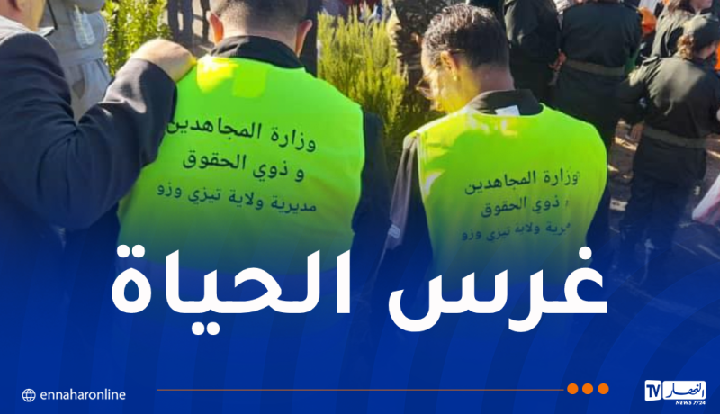 الأسرة الثورية تشارك في الحملة الوطنية الكبرى للتشجير