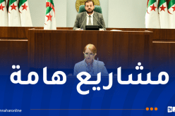 السياحة الحموية.. استلام 16 مشروعاً عام 2026