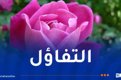 اصنعوا لقلوبكم ثوبا من التفاؤل..