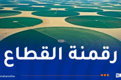 حرطاني: الفلاحة رهان الجزائر نحو السيادة الغذائية