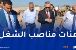 إنجاز وحدة متخصصة في صناعة هياكل السيارات بالبليدة