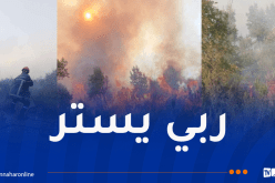 اندلاع حريق كبير في ولاية جيجل