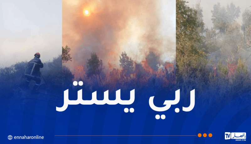 اندلاع حريق كبير في ولاية جيجل