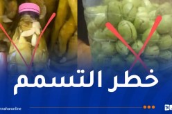 تحذير من استخدام العبوات البلاستيكية لـ”تصبير الزيتون”