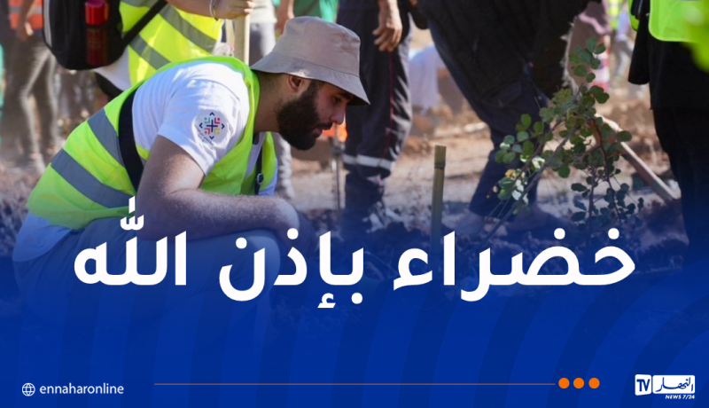سوناطراك تنخرط في الحملة الوطنية لغرس مليون شجرة