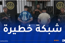 درك العاصمة يضع حدا لنشاط شبكة إجرامية تتاجر بالمهلوسات