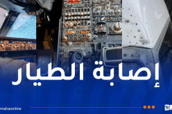 بالصور.. جسم غامض يحطم زجاج طائرة على علو شاهق! 