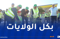 غرس 10 آلاف شُجيرة عبر مختلف وحدات نفطال