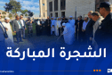 غرس 3 شجيرات زيتون بحدائق جامع الجزائر