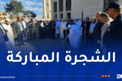 غرس 3 شجيرات زيتون بحدائق جامع الجزائر