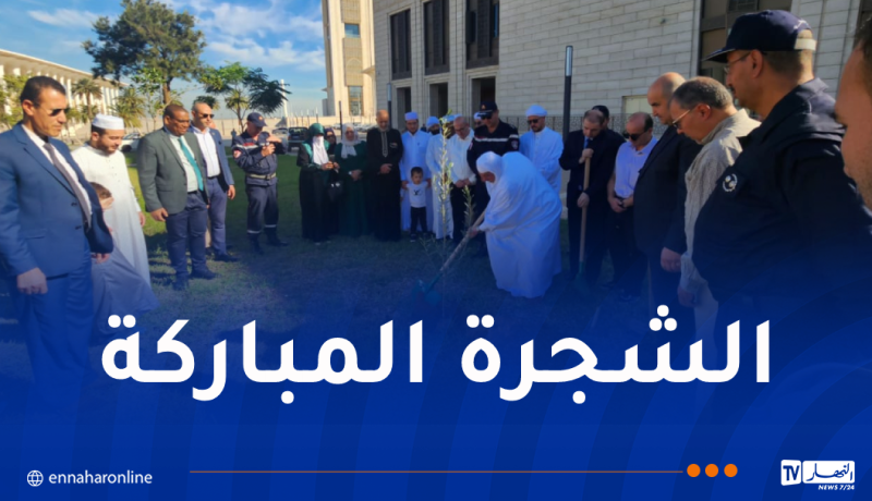 غرس 3 شجيرات زيتون بحدائق جامع الجزائر