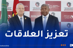 ناصري يُستقبل من قبل الرئيس الأنغولي