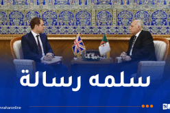 وزير الخارجية يتسلم رسالة خطية من نظيرته البريطانية