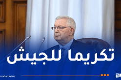 أعضاء مجلس الأمة يصادقون على نصين قانونيين متعلقين بالأوسمة العسكرية