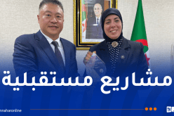 المحافظة السامية للرقمنة تبحث التعاون مع شركة هواوي