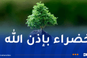 غرس مليون شتلة.. أكبر حملة وطنية للتشجير غدا السبت