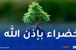 غرس مليون شتلة.. أكبر حملة وطنية للتشجير غدا السبت