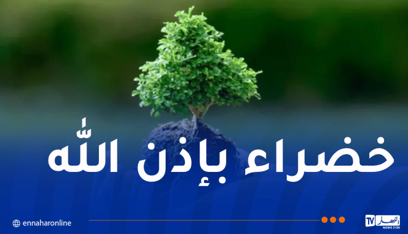 غرس مليون شتلة.. أكبر حملة وطنية للتشجير غدا السبت