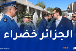 وزير الفلاحة يصل إلى البويرة.. غرس 30 ألف شجرة بالولاية