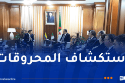 عرقاب يدعو الشركاء الكولومبيين إلى الاستثمار في الجزائر