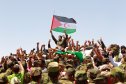 الأمم المتحدة تُجدّد تأكيدها على حق الشعب الصحراوي في تقرير المصير والاستقلال