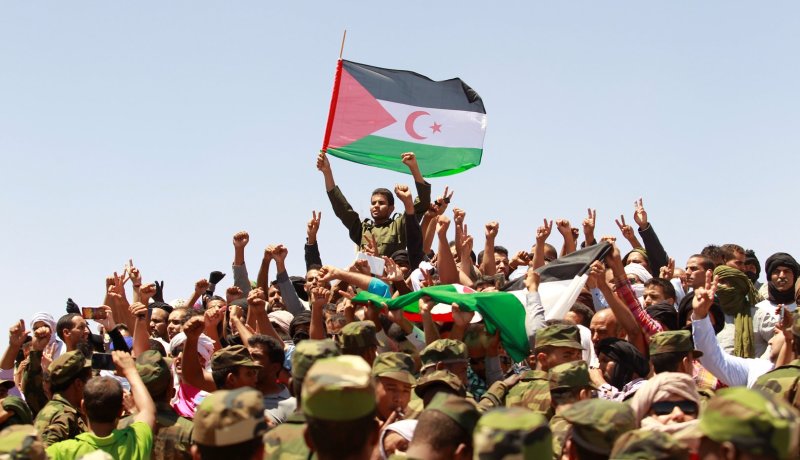الأمم المتحدة تُجدّد تأكيدها على حق الشعب الصحراوي في تقرير المصير والاستقلال