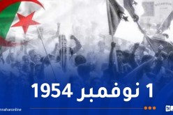 الذكرى 71 لاندلاع الثورة التحريرية..هكذا ستحتفل العاصمة