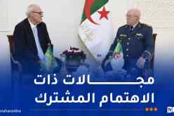 الأمين العام لوزارة الدفاع الوطني يستقبل سفير البرازيل بالجزائر