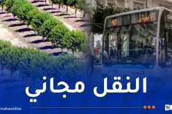 تحسبا لحملة المليون شجرة..اعلان هام من ايتوزا