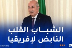 الجزائر تدعو إلى تعزيز التنسيق الفعال بين الاتحاد الإفريقي والدول الأعضاء