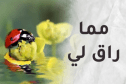 مما راق لي.. تأمل في البداية الحقيقية لك