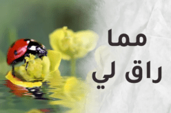 مما راق لي.. تأمل في البداية الحقيقية لك