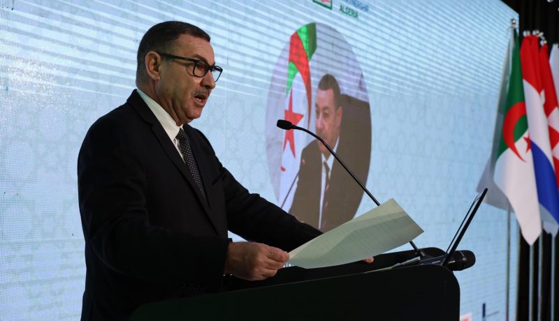 سعيود: الجزائر لم تغفل البعد الإنساني في تعاملها مع ظاهرة الهجرة