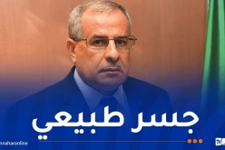 حشيشي: سوناطراك أثبتت قدرتها على أن تكون مزوّدا آمنا للأسواق العالمية