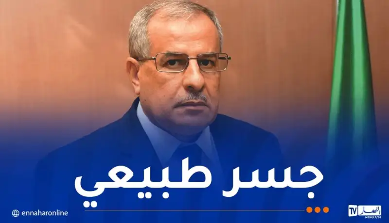 حشيشي: سوناطراك أثبتت قدرتها على أن تكون مزوّدا آمنا للأسواق العالمية
