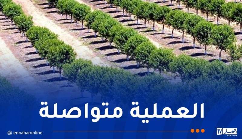 حملة المليون..غرس 12 ألف شجرة على مستوى مقطع خيرة بالعاصمة