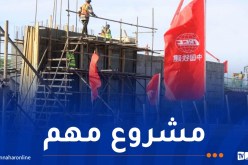 فريدي يواصل زيارته لمشروع خط السكة الحديدية بشار–تندوف–غار جبيلات