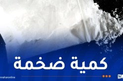 وهران: ضبط قرابة 2 كلغ كوكايين و30 ألف كبسولة “صاروخ”